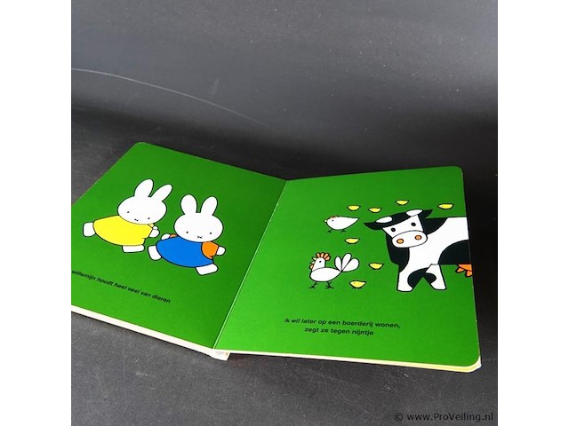 Wat nijntje later worden wil - afbeelding 5 van  5