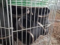 Water slangen, verloopsokken en eindkappen, o.a. alphaflex - afbeelding 14 van  15