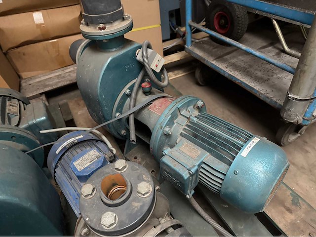 Waterpomp (3x) - afbeelding 2 van  7