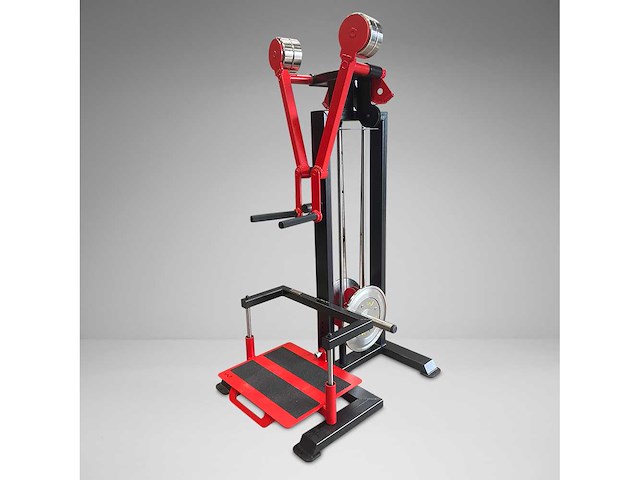 Watson standing plate loaded lateral raise - afbeelding 1 van  8