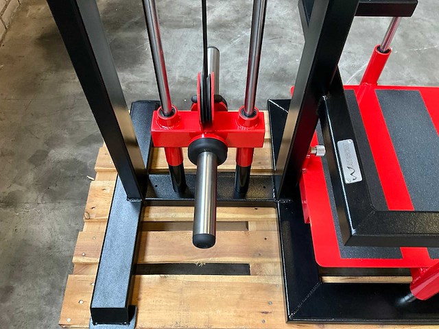 Watson standing plate loaded lateral raise - afbeelding 7 van  8