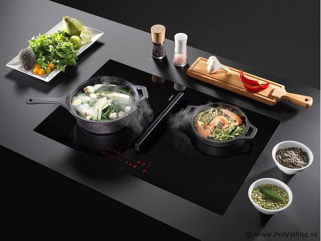 Wave 4114.01 peyto inductiekookplaat met geïntegreerde afzuiging - afbeelding 1 van  3