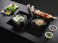 Wave 4114.01 peyto inductiekookplaat met geïntegreerde afzuiging - afbeelding 1 van  3