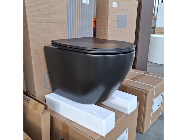 Wc-set, ideal standard - afbeelding 1 van  11