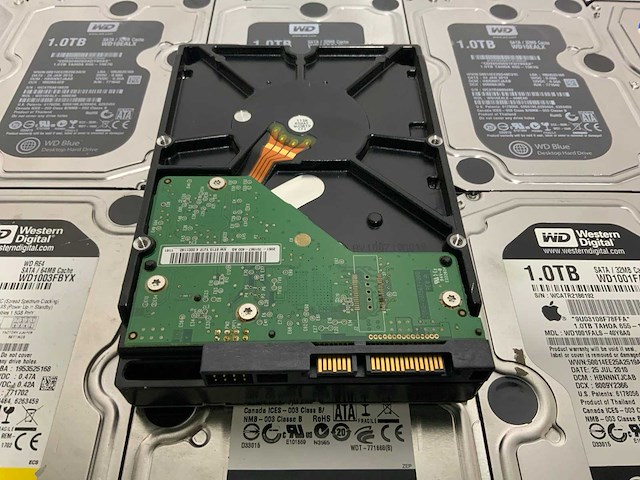 Wd 3,5’’ sata interne hdd 1000gb (20x) - afbeelding 2 van  3