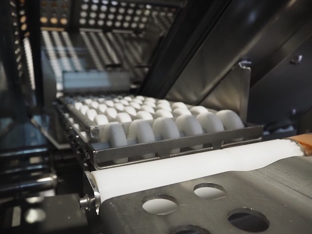 Weber - afbeelding 15 van  18