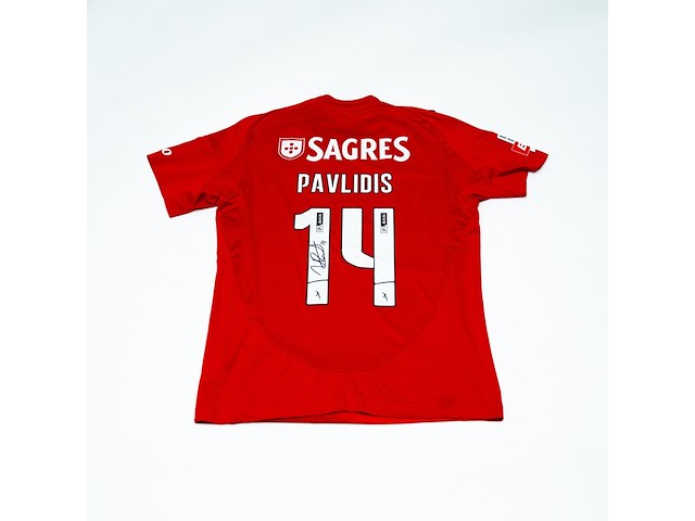 Wedstrijd gedragen vangelis pavlidis shirt – benfica adidas, rood, gesigneerd, l - afbeelding 1 van  2