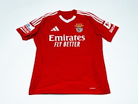 Wedstrijd gedragen vangelis pavlidis shirt – benfica adidas, rood, gesigneerd, l - afbeelding 2 van  2