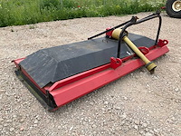 Weidebloter - afbeelding 4 van  5