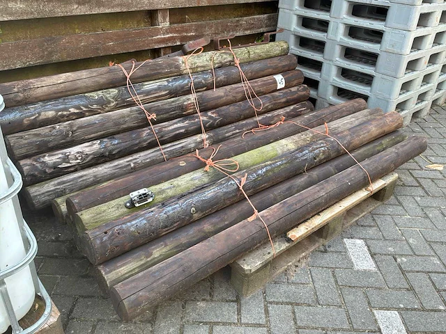 Weidepalen (28x) - afbeelding 3 van  4