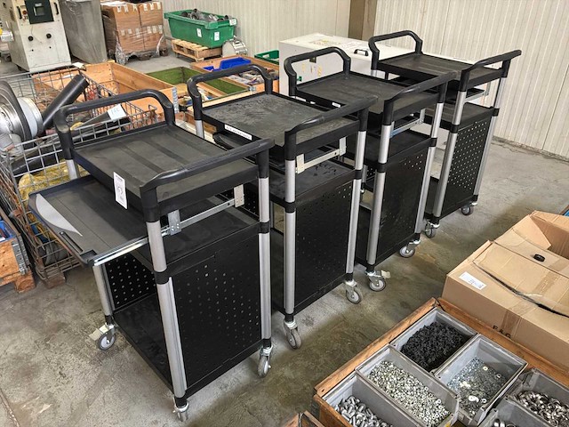 Werkplaatskar (4x) - afbeelding 5 van  5