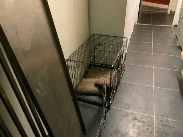 Werktafel, stelling en divers - afbeelding 4 van  7