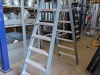 Werktrap altrex, 2x 7 treeds met bordes - afbeelding 2 van  6
