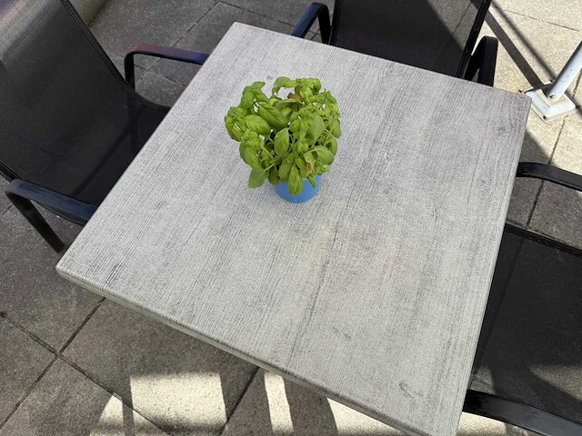 Werzalit - terrastafel (12x) - afbeelding 7 van  7