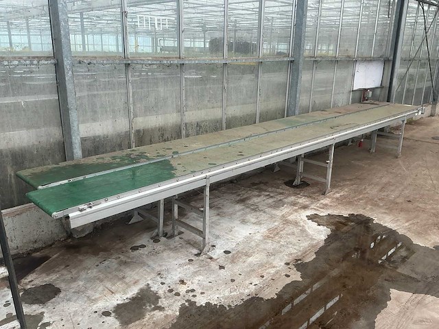 Wevab ve400 potplant transportband (2x) - afbeelding 1 van  6