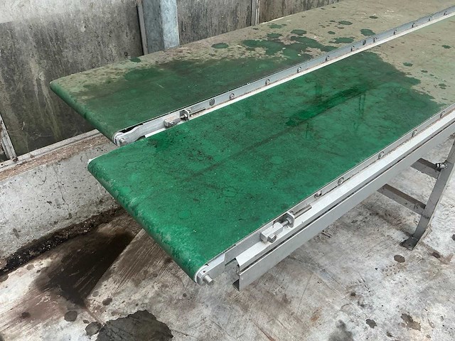 Wevab ve400 potplant transportband (2x) - afbeelding 2 van  6
