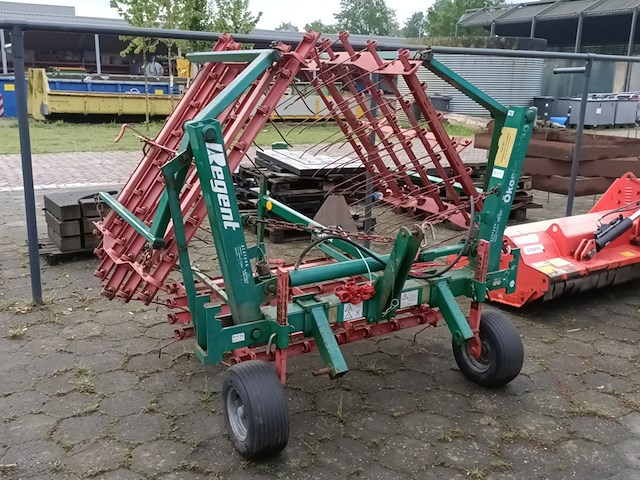 Wiedeg, regent, 450, 2002 - afbeelding 6 van  9