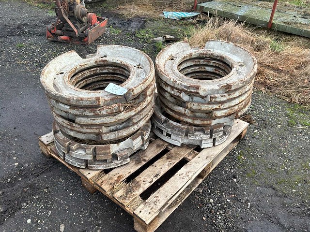 Wielgewicht (14x) - afbeelding 1 van  3