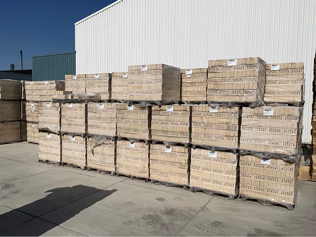 Wienerberger - strengpers - strengpers bakstenen - stones & bricks (43500x) - afbeelding 1 van  7