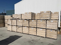 Wienerberger - strengpers - strengpers bakstenen - stones & bricks (43500x) - afbeelding 1 van  7