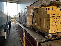 Wienerberger - sussex onbezand fuss sp wf - gevelbaksteen - bouwsteen (25000x) - afbeelding 4 van  8