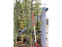 Wilde lijsterbes - meerstammige boom - afbeelding 3 van  3