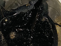 Wilde septarie bol - afbeelding 5 van  5