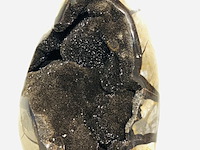 Wilde septarie staand stuk - afbeelding 1 van  4