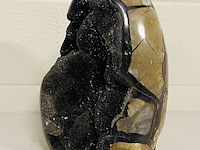 Wilde septarie staand stuk - afbeelding 2 van  4