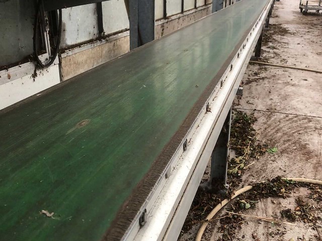 Willems engineering transportband 180m willems engineering - afbeelding 1 van  36