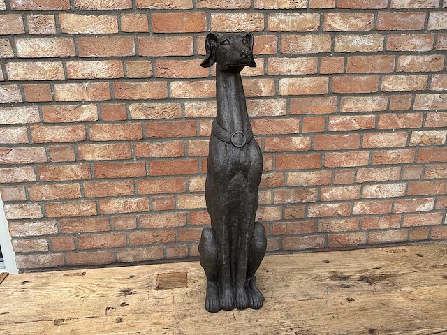 Windhond zittend 77 cm hoog - afbeelding 1 van  2