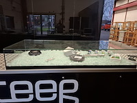 Winkelbalie v.v. 2x vitrinekast - afbeelding 2 van  22