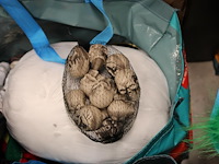 Winkelvoorraad halloween producten in 36 shopper tassen, in zeer brede variatie. - afbeelding 9 van  11