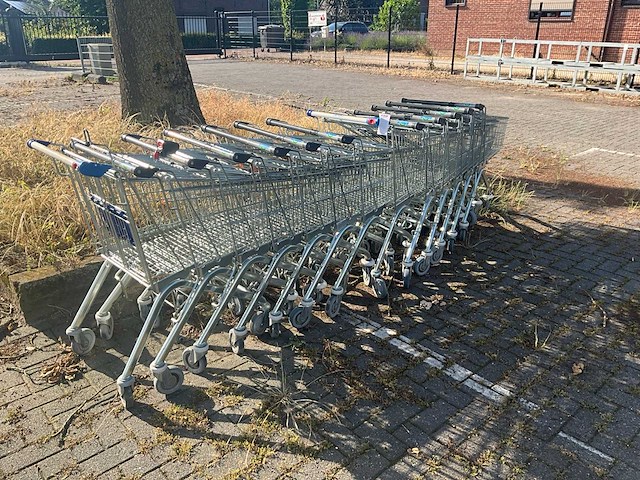 Winkelwagen (12x) - afbeelding 1 van  3