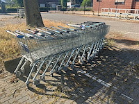 Winkelwagen (12x) - afbeelding 1 van  3