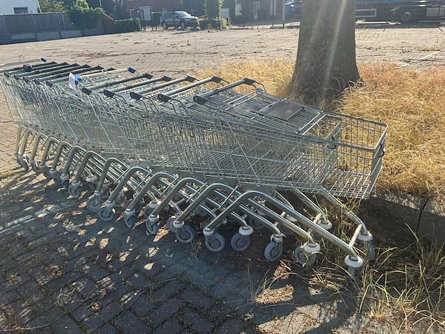 Winkelwagen (12x) - afbeelding 2 van  3