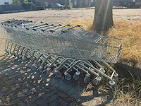 Winkelwagen (12x) - afbeelding 2 van  3