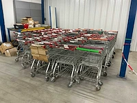 Winkelwagen (71x) - afbeelding 10 van  12