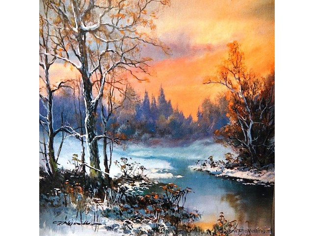 Winter bosgezicht - afbeelding 2 van  5