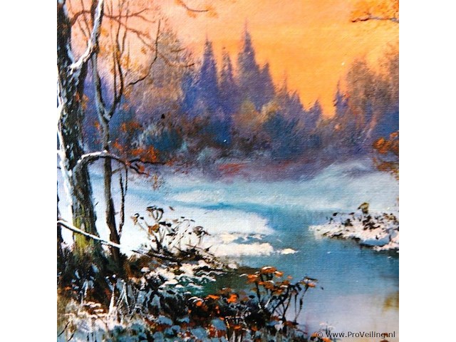 Winter bosgezicht - afbeelding 3 van  5