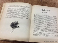 Winteravondboek - afbeelding 3 van  3