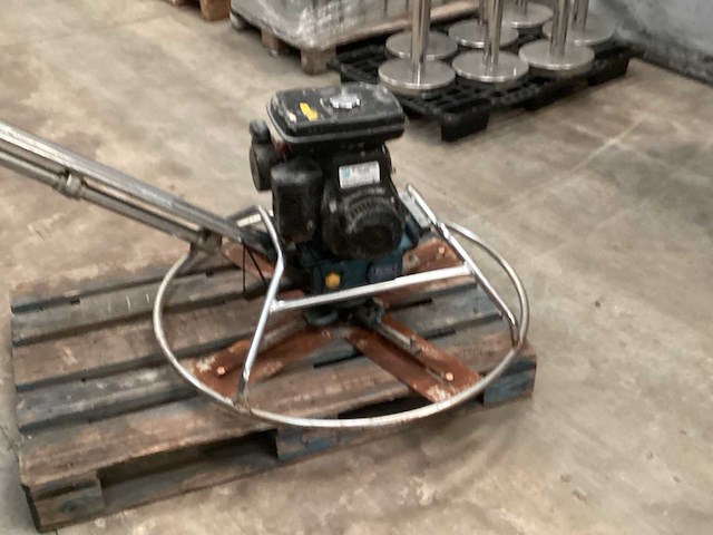 Wisconsin cementvlinder - afbeelding 4 van  12