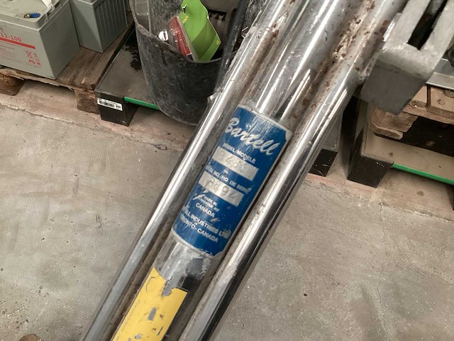 Wisconsin cementvlinder - afbeelding 7 van  12