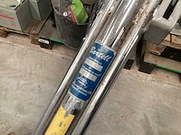 Wisconsin cementvlinder - afbeelding 7 van  12