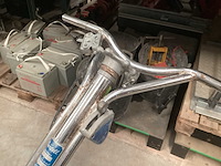 Wisconsin cementvlinder - afbeelding 9 van  12