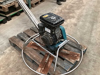 Wisconsin cementvlinder - afbeelding 10 van  12