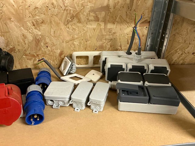 Wiska partij wartels - afbeelding 6 van  15