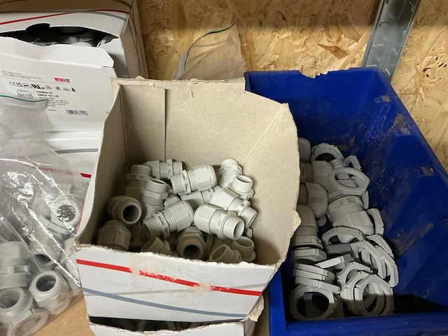 Wiska partij wartels - afbeelding 11 van  15