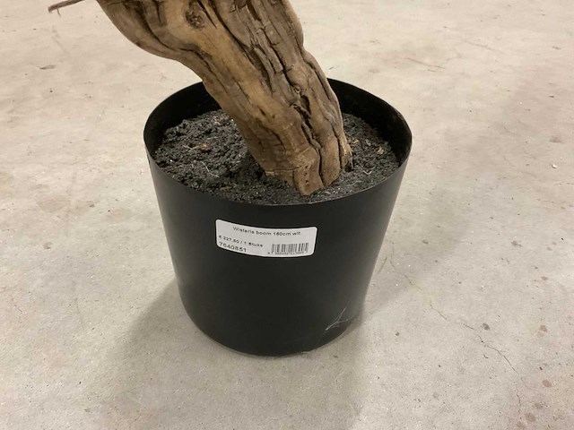 Wisteria kunstboom 160cm - afbeelding 3 van  8