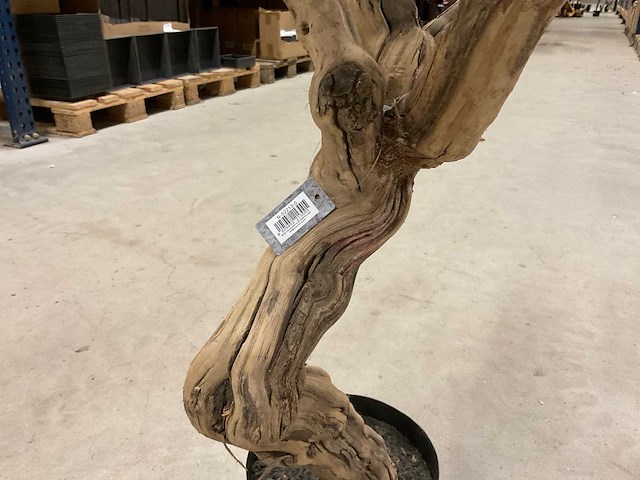 Wisteria kunstboom 160cm - afbeelding 4 van  8